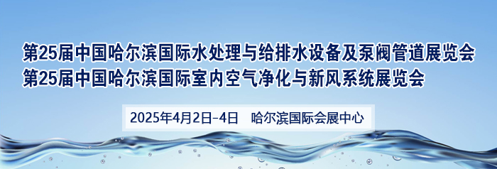 最新外围开云网站6